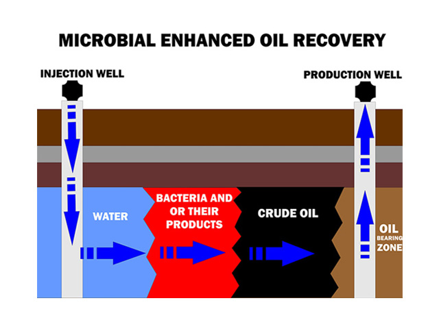 microbial enhanced oil recovery diagram