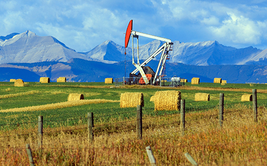 pumpjack in the middle of a hay field