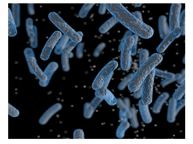 microscopic view of microbes